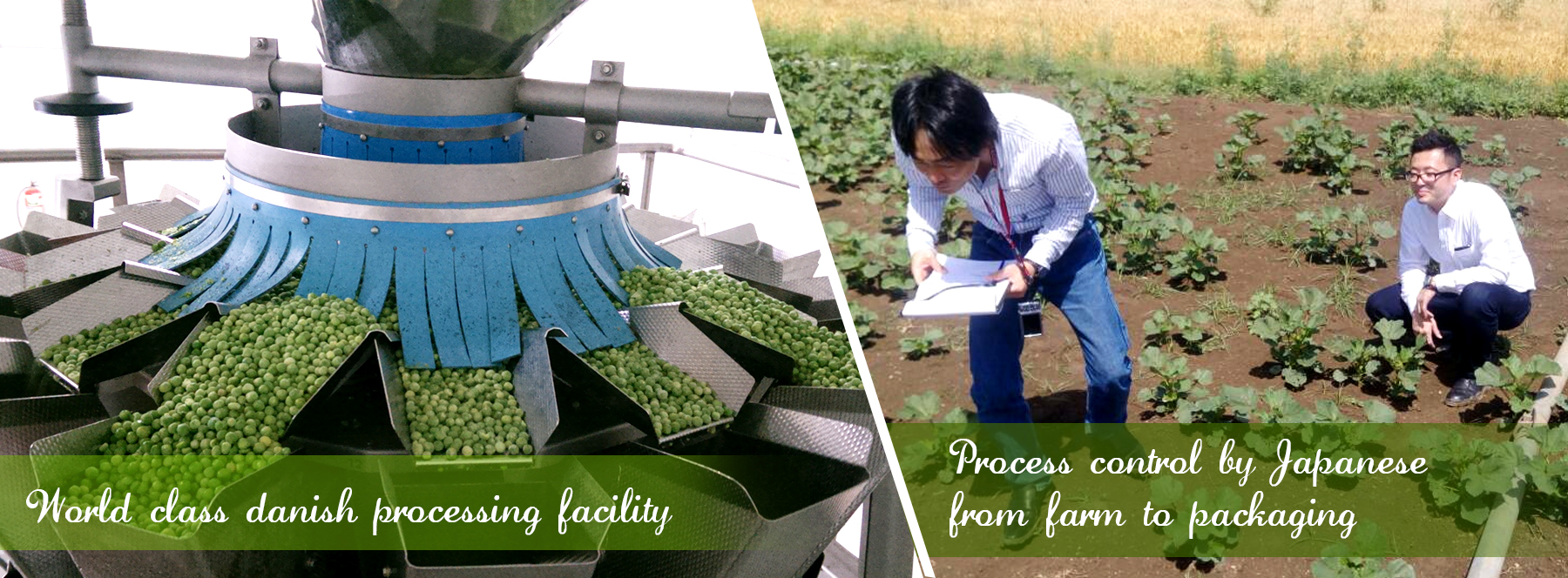 Bhanu Farms
