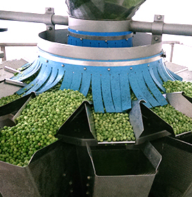 bhanu farms