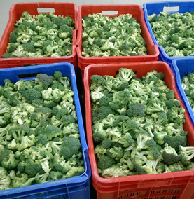 bhanu farms